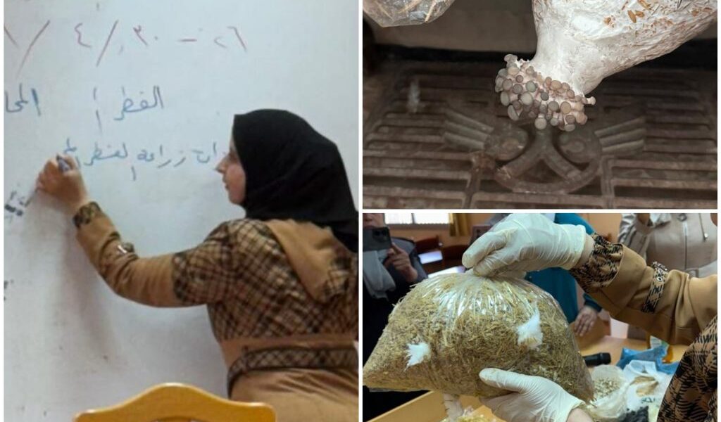 إطلاق مبادرات لدعم النساء في الريف الدرعاوي لتحسين ظروف أُسرهن الاقتصادية والصحية