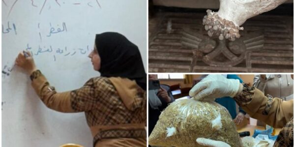 إطلاق مبادرات لدعم النساء في الريف الدرعاوي لتحسين ظروف أُسرهن الاقتصادية والصحية