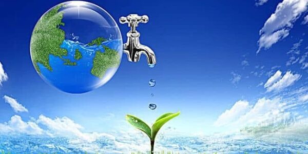 الواجب الاجتماعي نحو البيئة.. تعهد مشترك لتحقيق غد مستدام