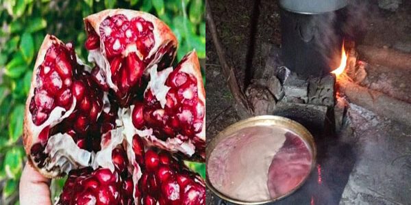 جمعية لإنتاج دبس الرمان وتعزيز بقاء الحرفة التقليدية في المضافة بريف صافيتا