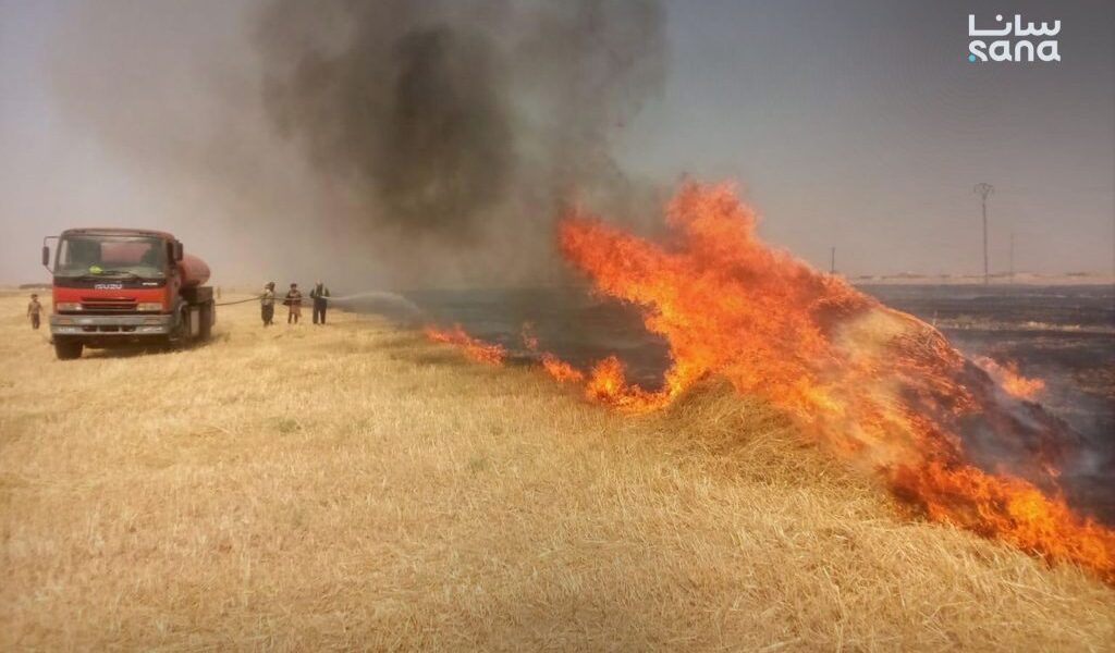 حرائق موسم الحصاد تسبب في فقدان 65 ألف دونم من القمح والشعير بالحسكة