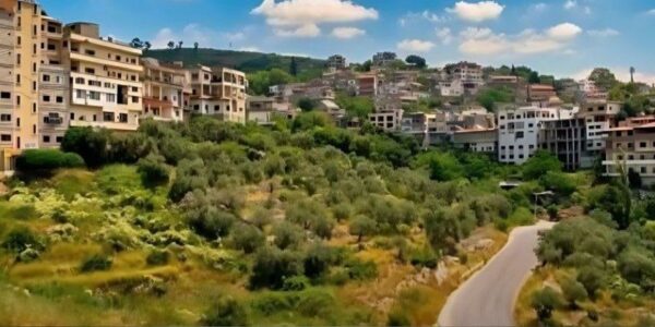 طقس صيفي معتاد يستمر حتى نهاية الأسبوع