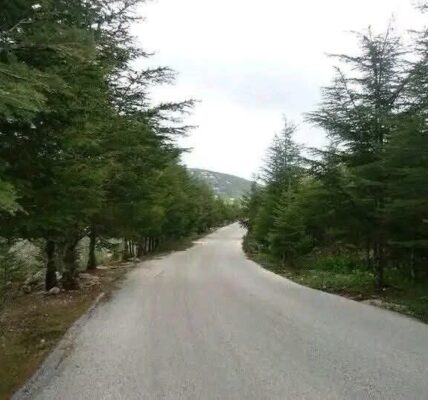 أجواء صيفية اليوم الخميس.. وتغير جوي ينطلق الجمعة ويصل لذروته السبت والأحد
