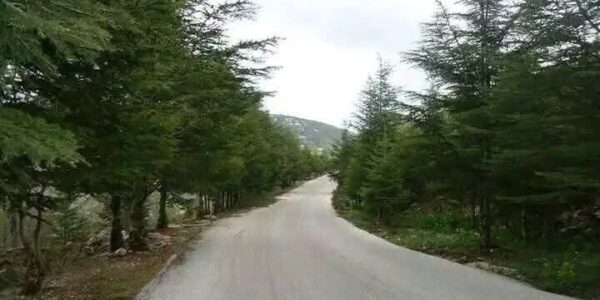 أجواء صيفية اليوم الخميس.. وتغير جوي ينطلق الجمعة ويصل لذروته السبت والأحد
