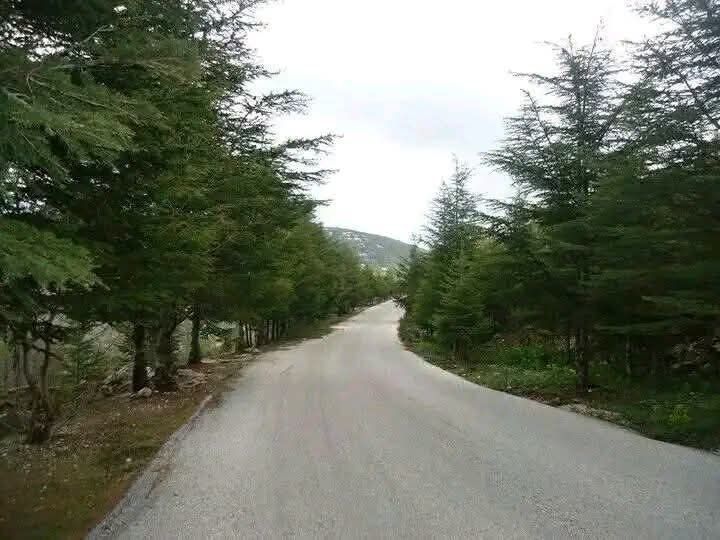 أجواء صيفية اليوم الخميس.. وتغير جوي ينطلق الجمعة ويصل لذروته السبت والأحد