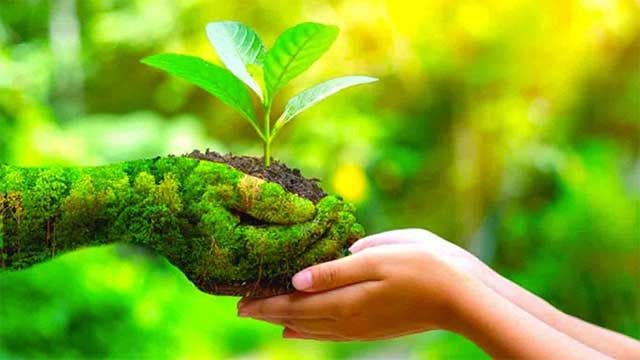 إدراك المجتمع للنظافة.. واجب ينطلق من الشخص