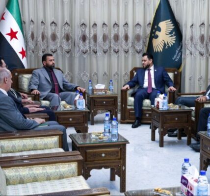 التدقيق والتفتيش يبحثان مع المحكمة الدستورية العليا تعزيز التعاون المؤسسي