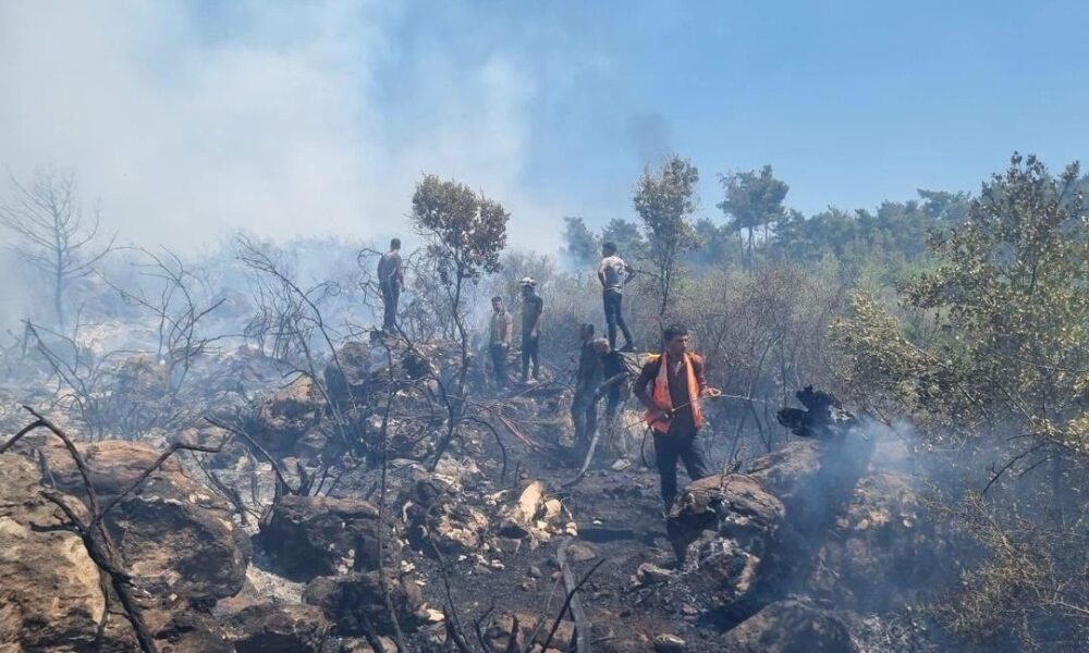 الزراعة: أخمدنا 85 نشوباً حراجياً وزراعياً خلال عشرة أيام