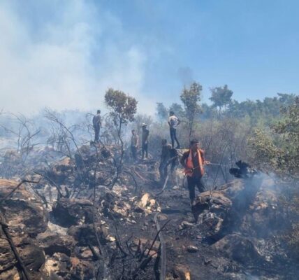 الزراعة: أخمدنا 85 نشوباً حراجياً وزراعياً خلال عشرة أيام