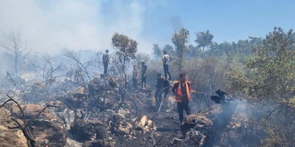 الزراعة: أخمدنا 85 نشوباً حراجياً وزراعياً خلال عشرة أيام
