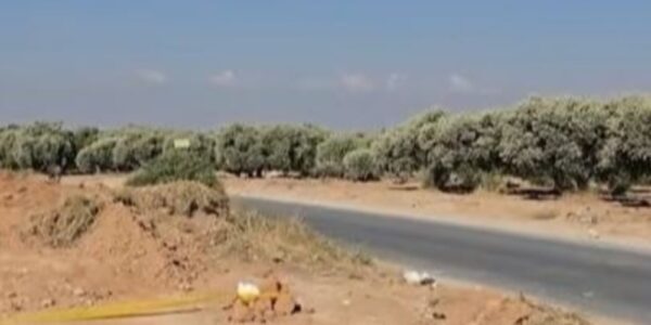 العثور على مدفن جماعي في أريحا بريف إدلب يعود لمعتقلين أُعدموا في زمن النظام السابق.