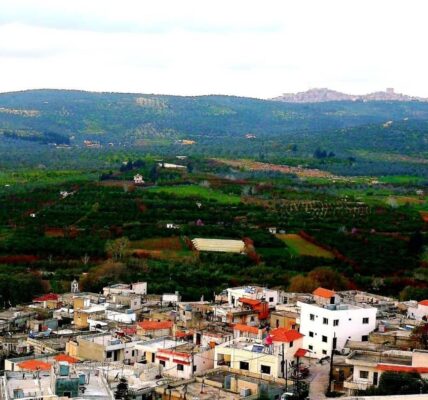 مدينة السيسنية تدعو لإنجاز نظام الصرف الصحي وتحسين مستوى النظافة