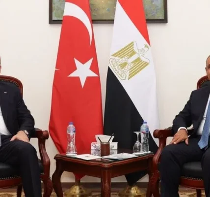 مصر وتركيا تشددان على ضرورة صون سيادة سوريا واستنكار الاعتداءات الإسرائيلية على أراضيها