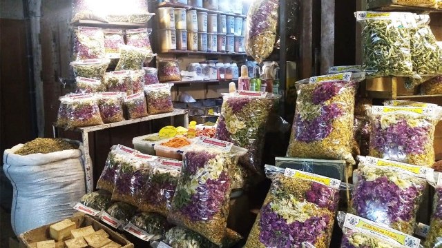 معالج بالأعشاب يوصي بالاحتفاظ بلائحة من النباتات العلاجية للتعامل مع الأزمات الطارئة