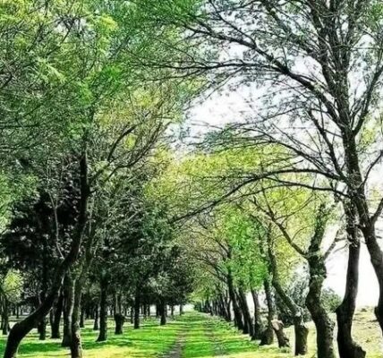 هبوط بسيط في درجات الحرارة وأجواء دافئة نسبياً.