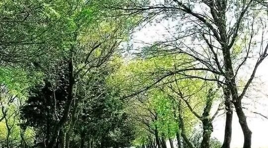 هبوط بسيط في درجات الحرارة وأجواء دافئة نسبياً.