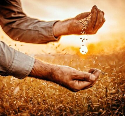 التحديات والحلول العملية لتحقيق استقرار الغذاء في سوريا