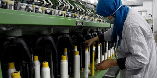 ثبات شبكات الإمداد وتعزيز المناخ الوظيفي.. أساسان للنهوض الاقتصادي