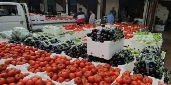 زيادة تكلفة الخضار والفاكهة في نهاية الموسم.. وبدون دعم أو خطة زراعية الفلاح متضرر