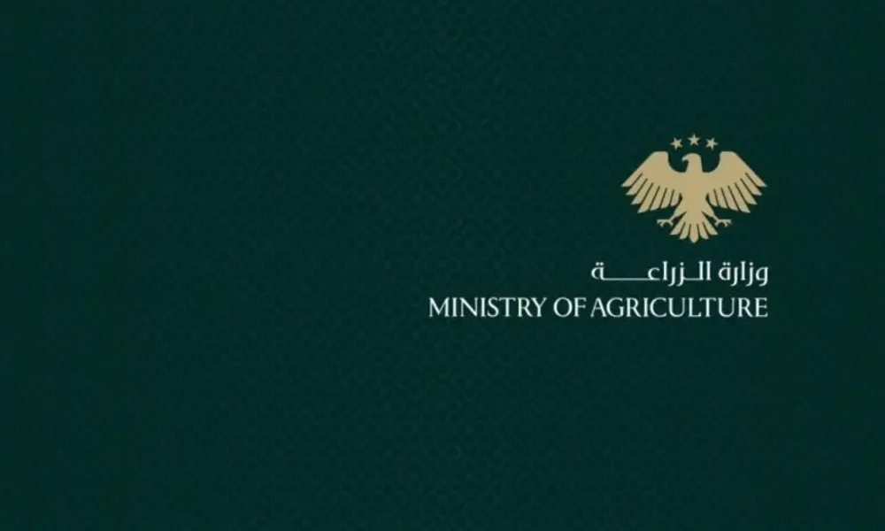 قرار جديد من وزارة الزراعة باستيراد الأسمدة الكيميائية لدعم السوق المحلي