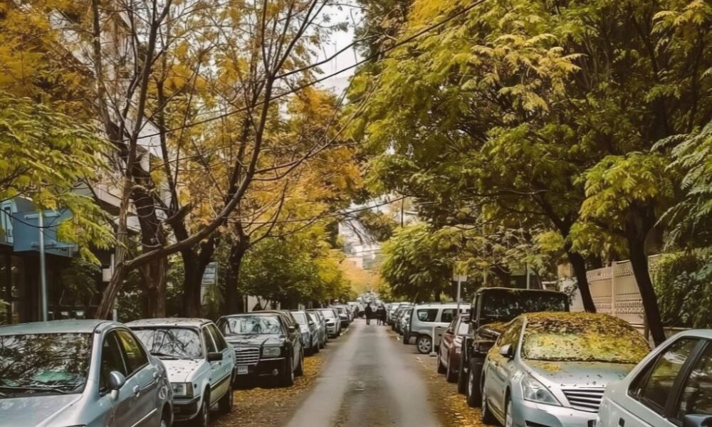 أجواء خريفية دافئة إلى حد ما وزيادة بسيطة في درجات الحرارة.