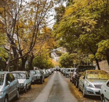 أجواء خريفية دافئة إلى حد ما وزيادة بسيطة في درجات الحرارة.