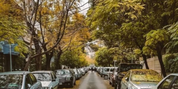 أجواء خريفية دافئة إلى حد ما وزيادة بسيطة في درجات الحرارة.