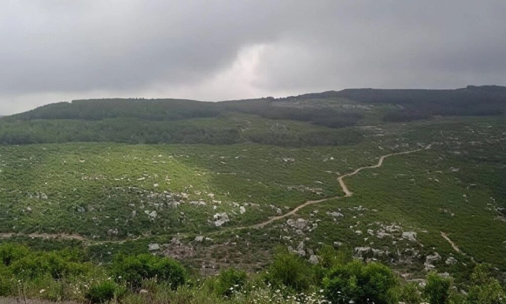 أمطار عاصفية في مناطق متباينة من الدولة