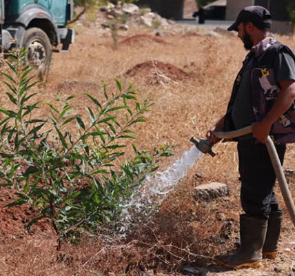 إجراءات فعّالة لدعم الغطاء النباتي المتأثر في درعا.. ورصد حالات التعدي