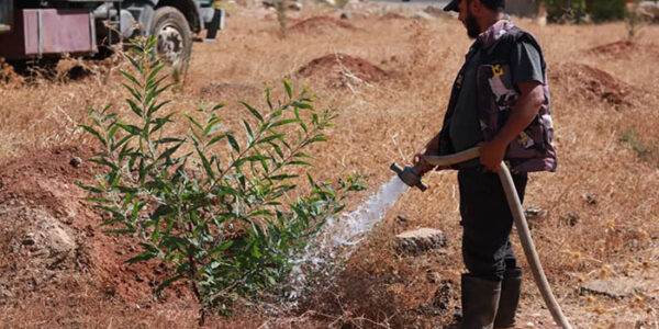 إجراءات فعّالة لدعم الغطاء النباتي المتأثر في درعا.. ورصد حالات التعدي