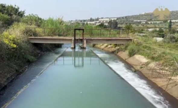 التجديد البيئي في طرطوس.. من صون الثروات إلى الاستدامة التنموية