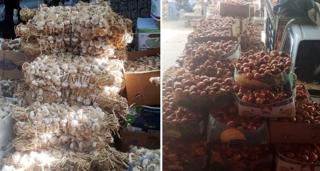 المزارعون يحثون على تمديد حظر الاستيراد وفتح التصدير لتسويق الفائض من الثوم والبصل