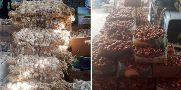 المزارعون يحثون على تمديد حظر الاستيراد وفتح التصدير لتسويق الفائض من الثوم والبصل