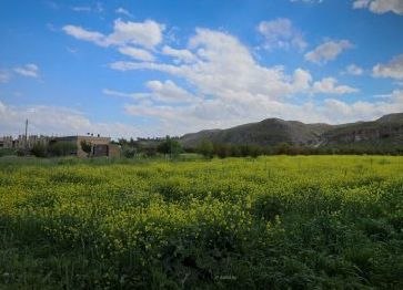 طقس خريفي وأمطار كثيفة في عدة مناطق